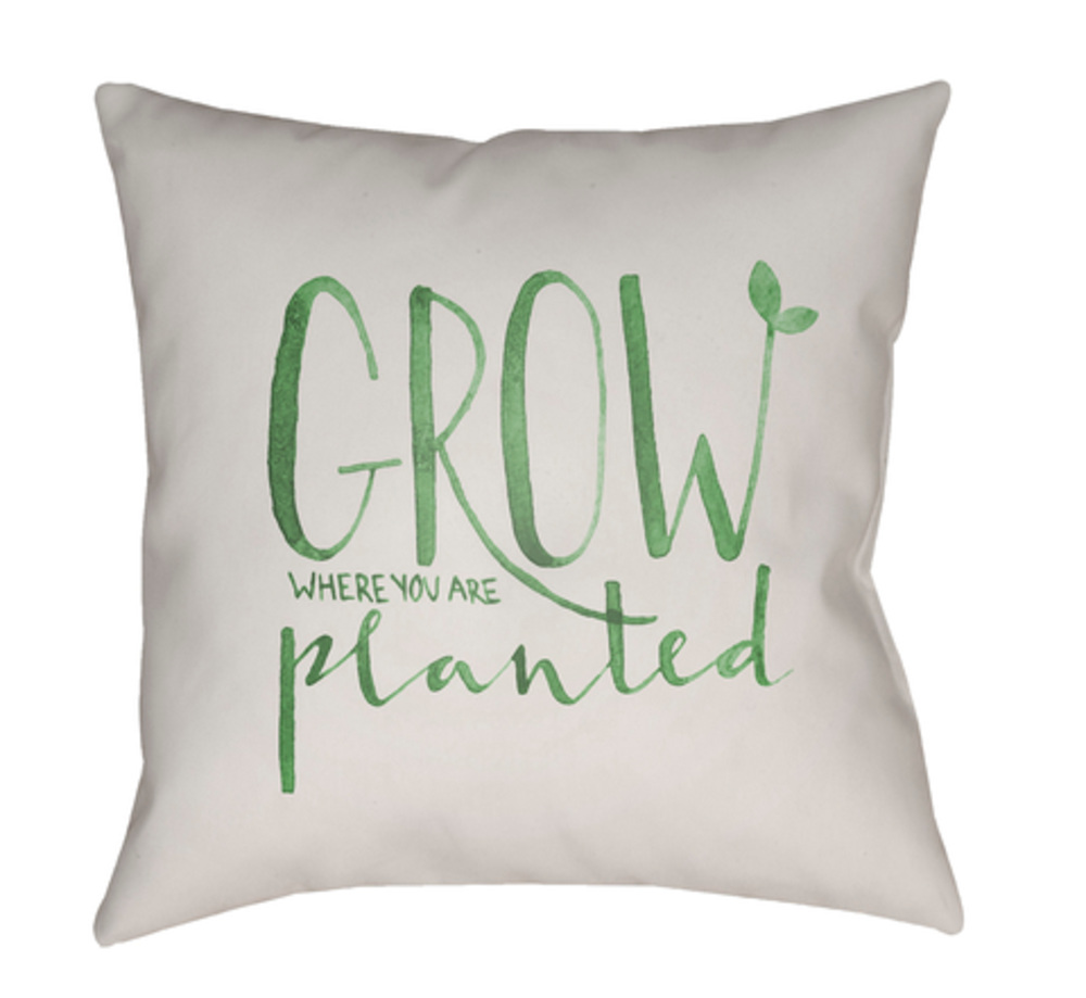 QTE010-1818 Grow 18 x 18 x 4 in. Throw Pillow, Green - Medium