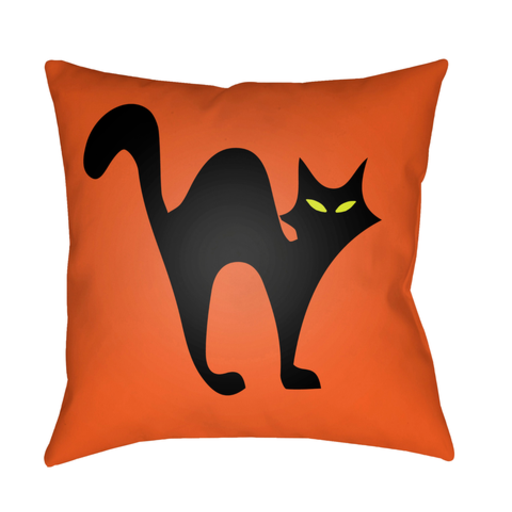 BOO109-2020 20 x 20 x 4 in. Boo Square Throw Pillow, Orange