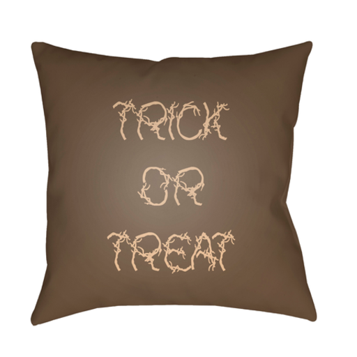 BOO130-2020 20 x 20 x 4 in. Boo Square Throw Pillow, Brown