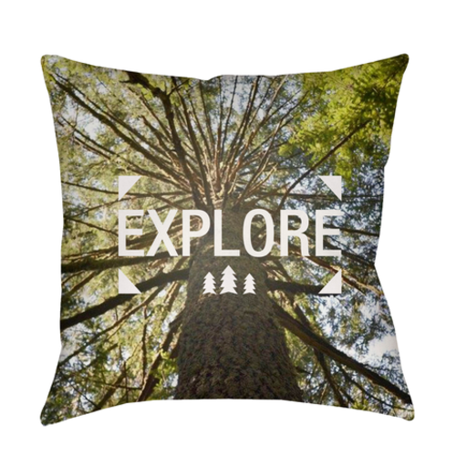 EXP001-2020 20 x 20 x 4 in. Explore Square Throw Pillow, Multi Color