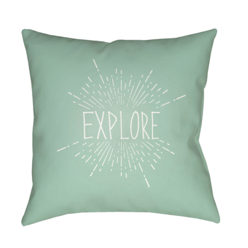 EXP003-2020 20 x 20 x 4 in. Explore II Square Throw Pillow, Green & White