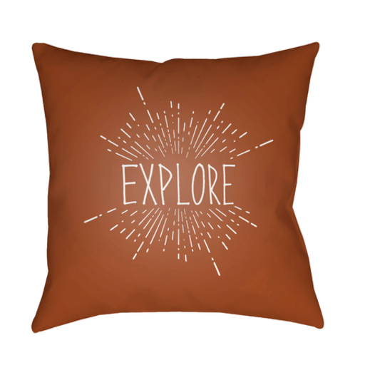EXP004-2020 20 x 20 x 4 in. Explore II Square Throw Pillow, Brown & White