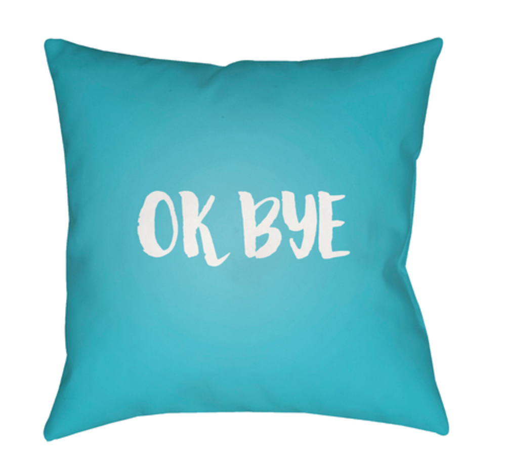 QTE057-1818 Ok Bye Medium Throw Pillow, 18 x 18 x 4 in. - Blue & White