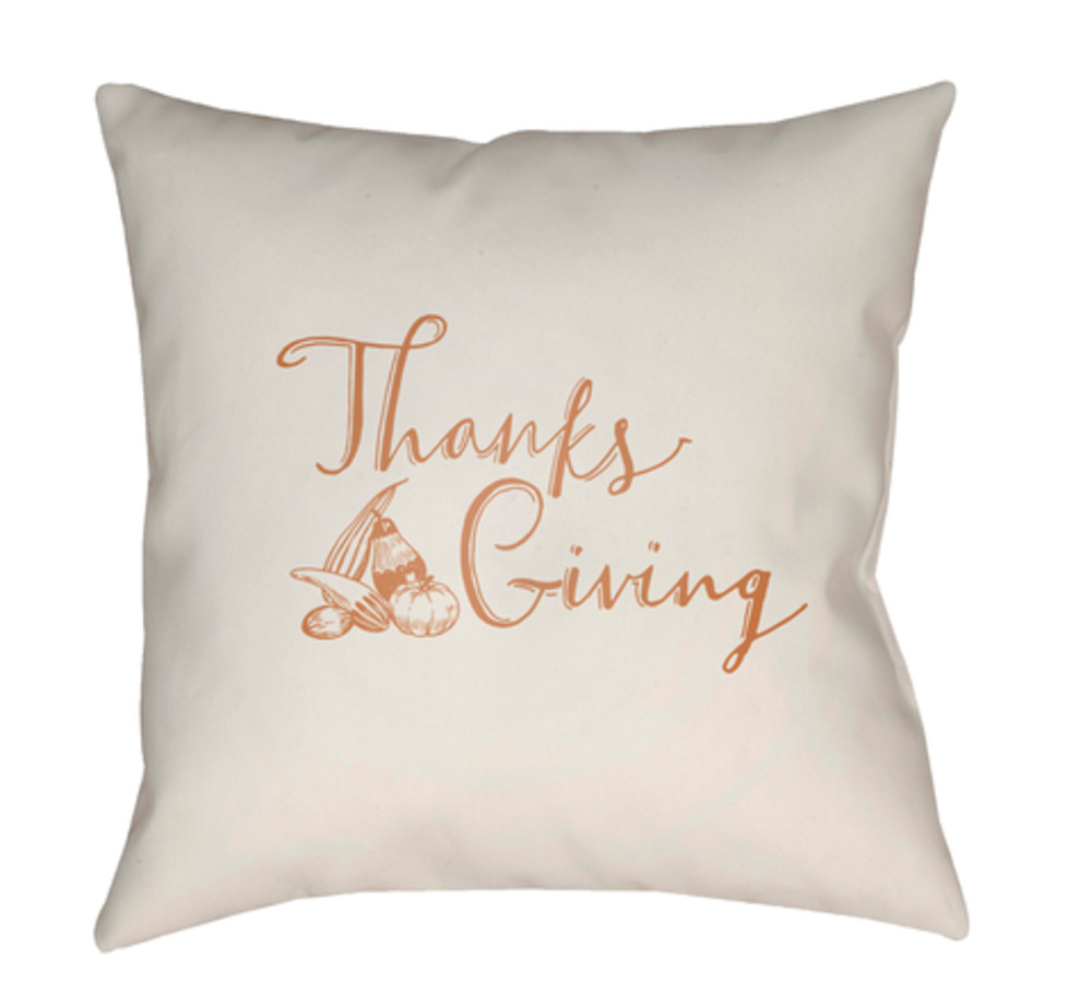 GOURD004-1818 Gourd Medium Throw Pillow, 18 x 18 x 4 in. - White & Orange