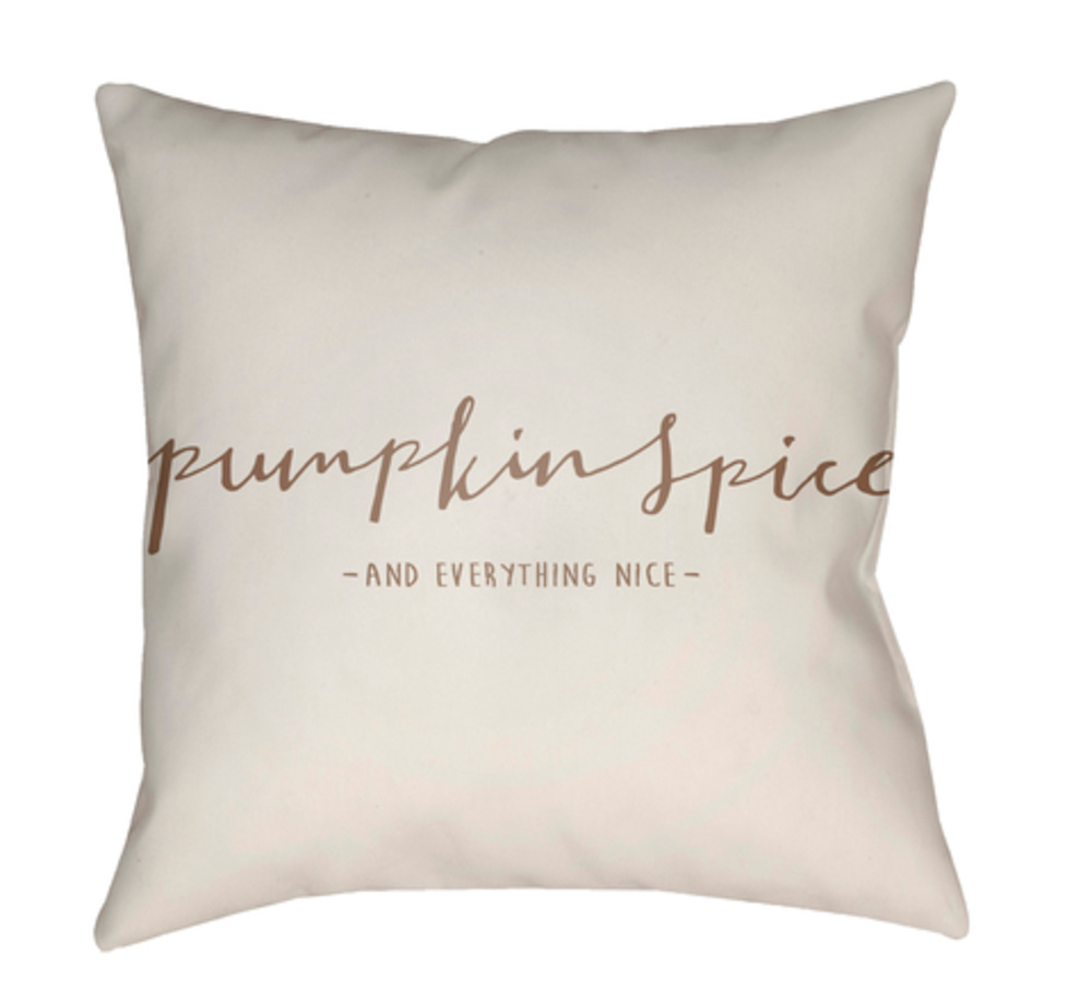 PKN003-1818 Pumpkin Spice Medium Throw Pillow, 18 x 18 x 4 in. - White & Brown
