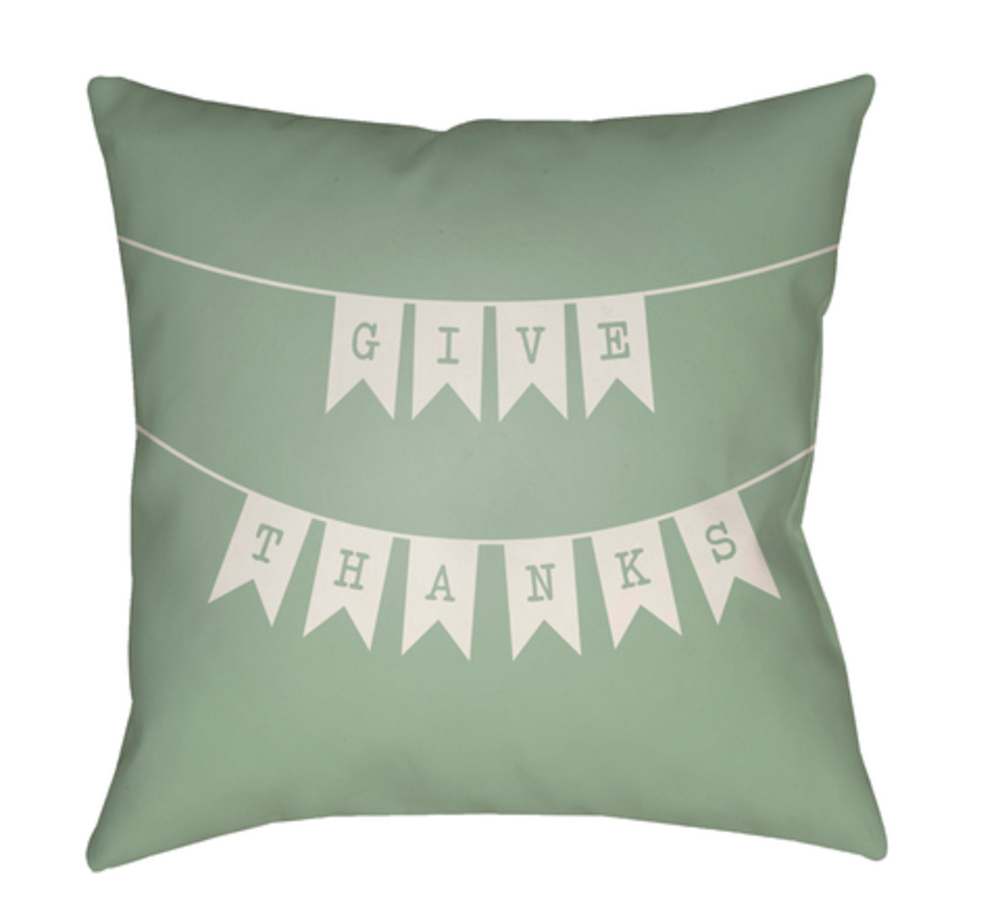 BNR002-2020 Banner Medium Throw Pillow, 20 x 20 x 4 in. - Green & White