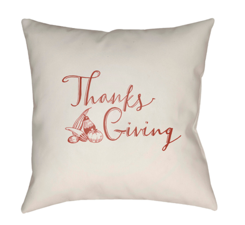 GOURD001-2020 Gourd Medium Throw Pillow, 20 x 20 x 4 in. - White & Red