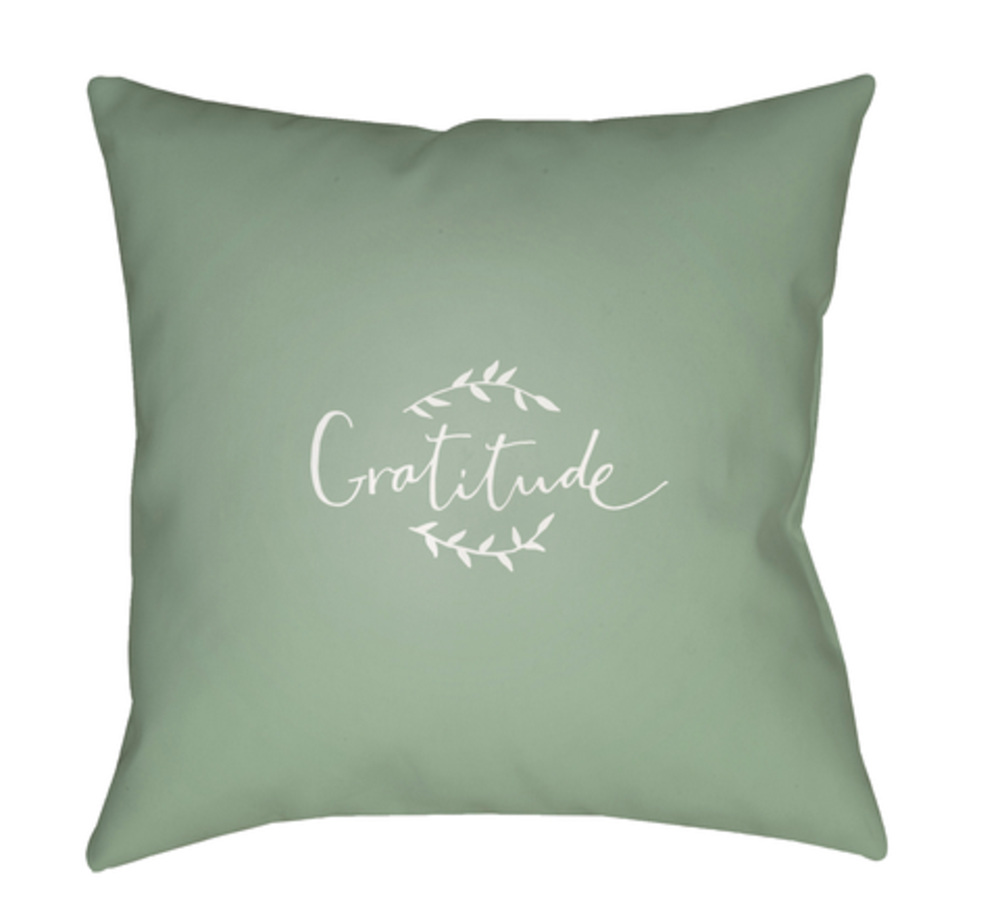 GTD001-2020 Gratitude Medium Throw Pillow, 20 x 20 x 4 in. - Green & White