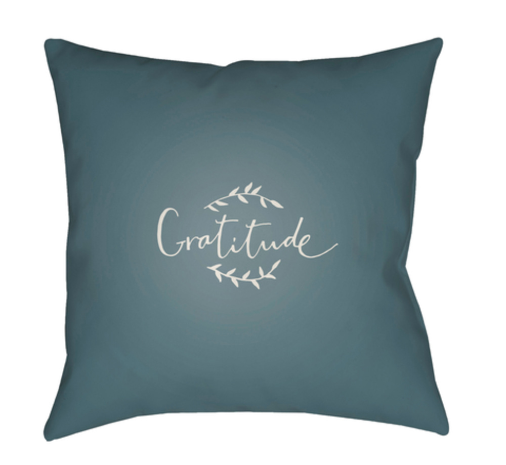 GTD004-2020 Gratitude Medium Throw Pillow, 20 x 20 x 4 in. - Blue & White