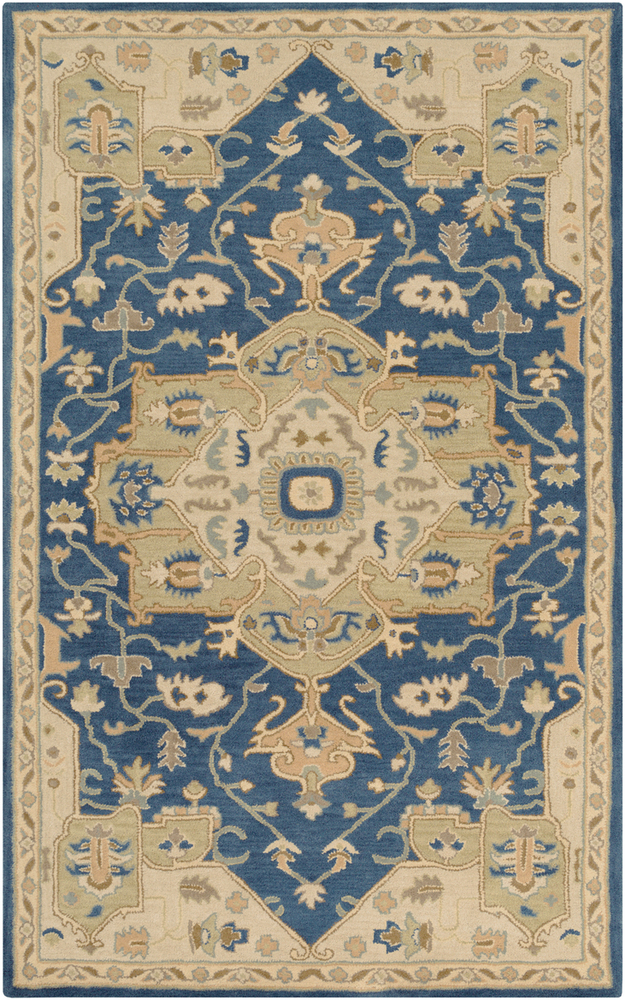 CAE1145-1616 18 in. Caesar Traditional Sample Area Rug - Multicolor