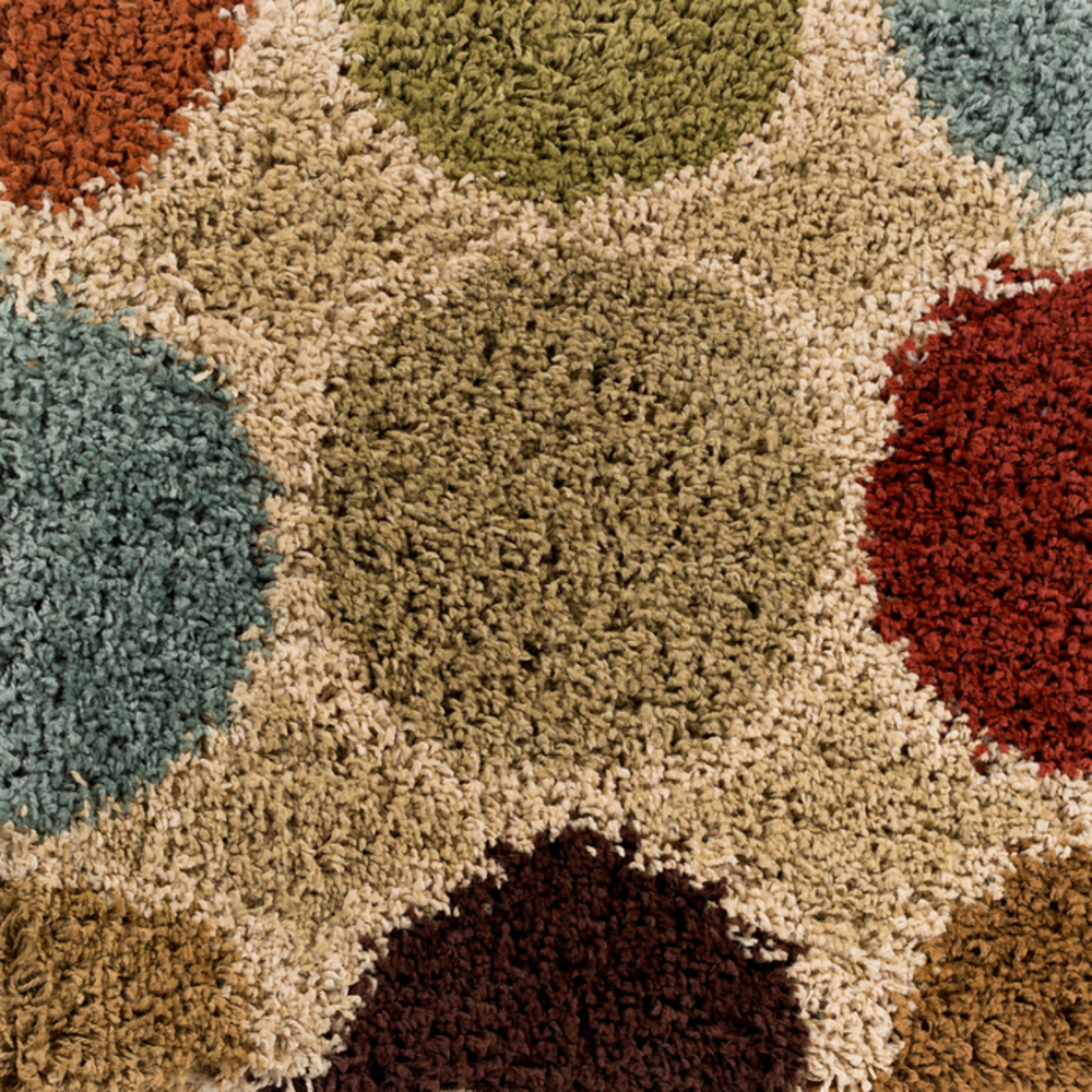 CPT1716-1616 18 in. Concepts Shag Sample Area Rug - Multicolor