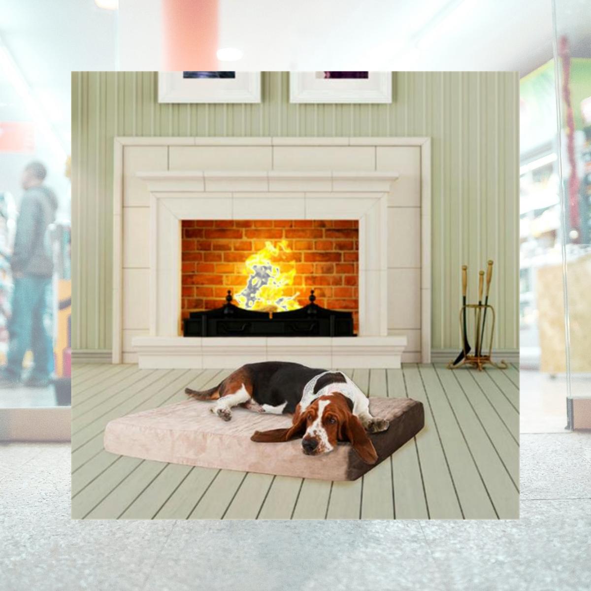 Picture of Medium PAW Memory Foam Dog Bed With Removable Cover