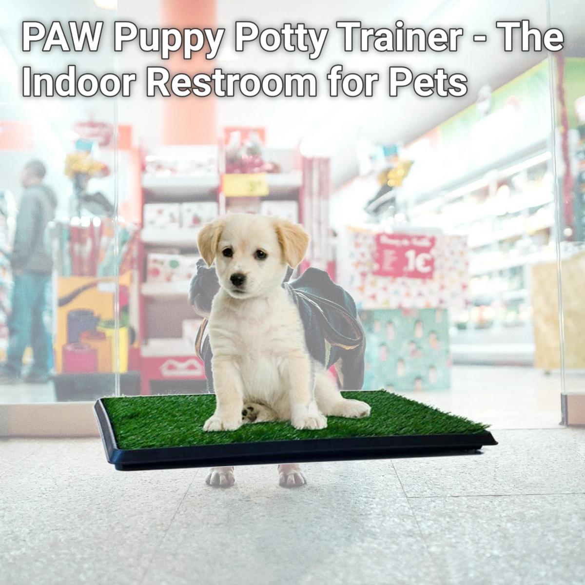 Picture of PAW Puppy Potty Trainer - The Indoor Restroom for Pets