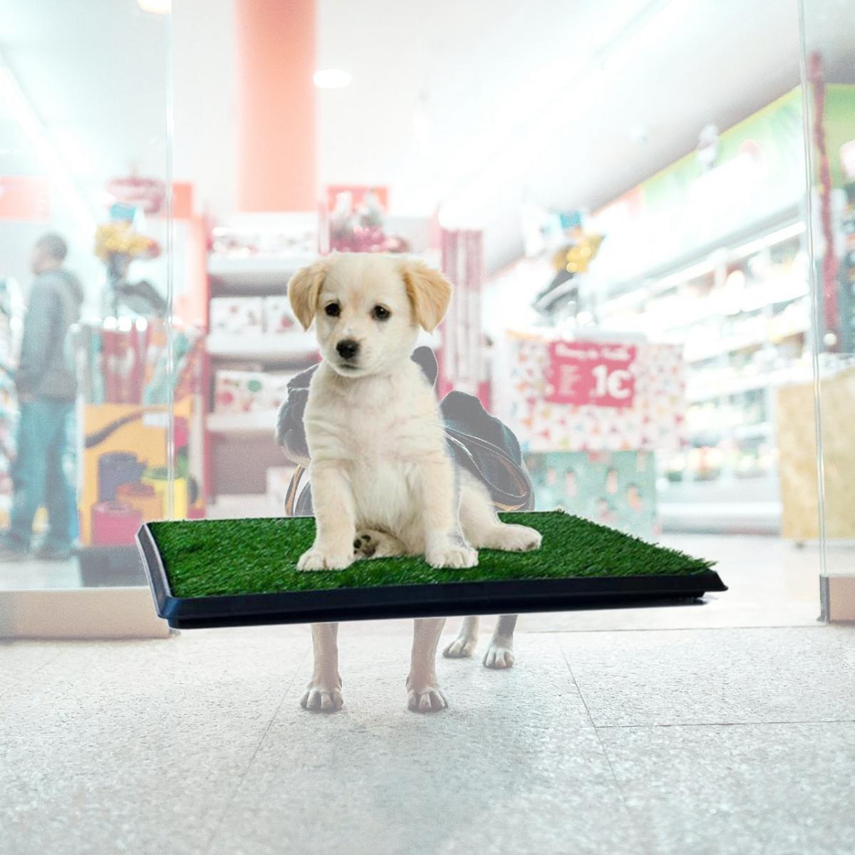 Picture of PAW Puppy Potty Trainer - The Indoor Restroom for Pets