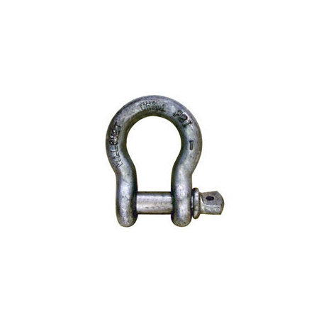 DRSPA250 0.25 in. .5 Ton Rated Screw Pin Shackle