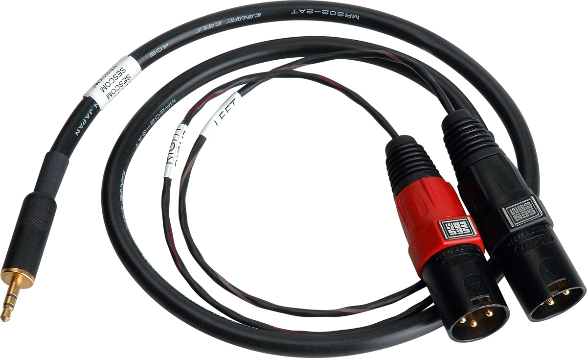 SES-IPOD-XLRM03 3.5 mm Mini Stereo Plug to Dual XLR-M Plugs, 3 ft.