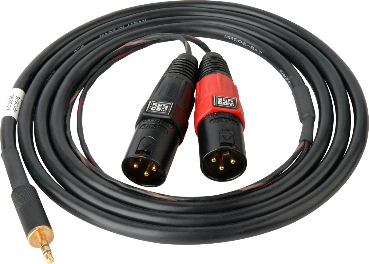 SES-IPOD-XLRM06 3.5 mm Mini Stereo Plug to Dual XLR-M Plugs, 6 ft.
