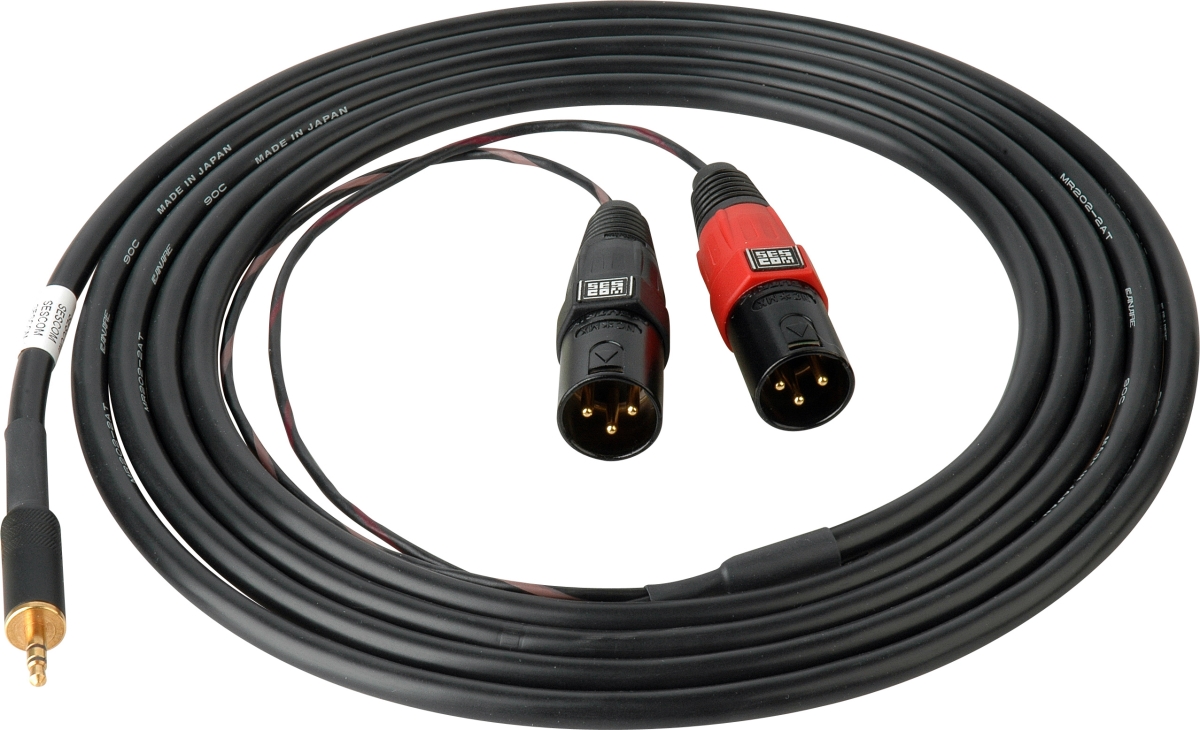 SES-IPOD-XLRM10 3.5 mm Mini Stereo Plug to Dual XLR-M, 10 ft.