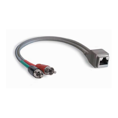 ADAPT-RCAM RCA Male to RJ-45 Adapter - 8 in.