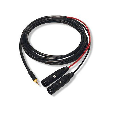 IPOD2XLRM 6 ft iPOD Cable to Dual Male XLRs