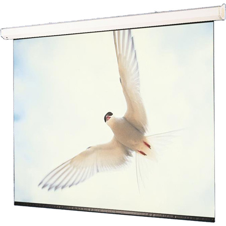 Picture of Draper DR-116530L Targa 113 in. 16-10 XT1000E 110V with Low Voltage Controller - Matte White