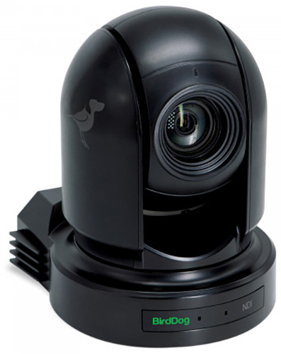 BDS-BDP200B Eyes P200 1080P Full NDI PTZ Camera with Sony Sensor & HDMI & 3G-SDI - Black -  Birddogs