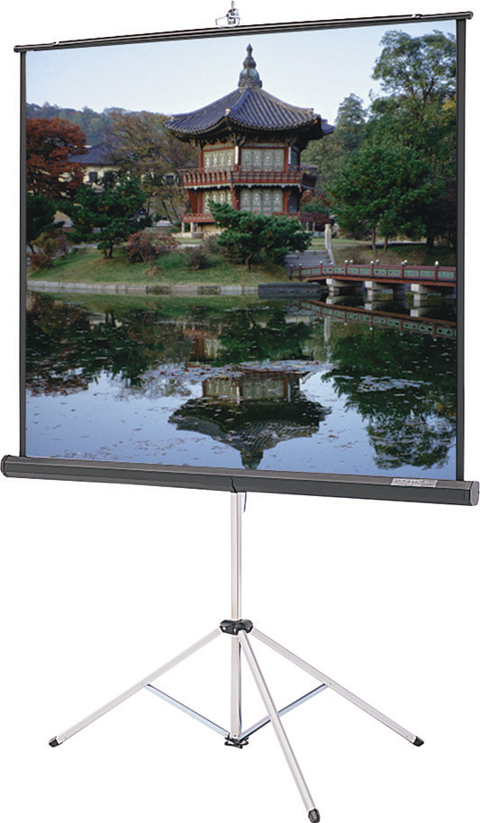 Picture of Da-Lite Screen DL-93870 Picture King Square Format Carpeted Black Case - 70 x 70 in.