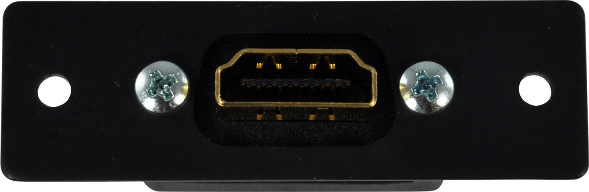 Picture of FSR FSR-IPS-V610SBLK HDMI Female to HDMI Female Insert Plate, Black