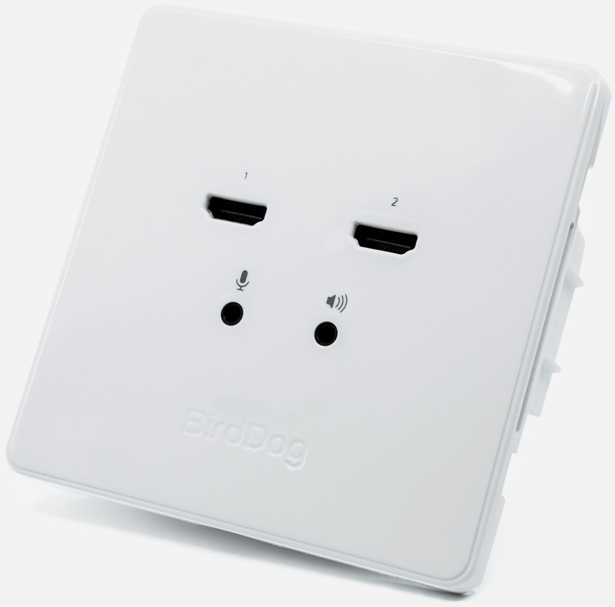 Picture of BirdDog BDS-BDWPOUT NDI Wallplate with Dual Output