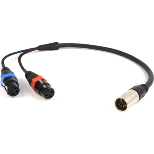 REM-CAXSTEX5M 18 in. Balanced Stereo Breakout Cable for 2 XLR3F to XLR5M with 5 in. Fan