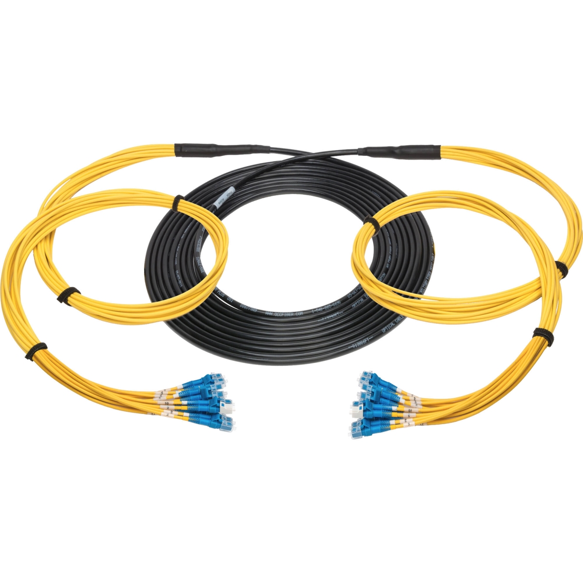 CMX-TS12LC-0100 100 ft. 12-Channel LC Single Mode Fiber Optic Tactical Snake Cable