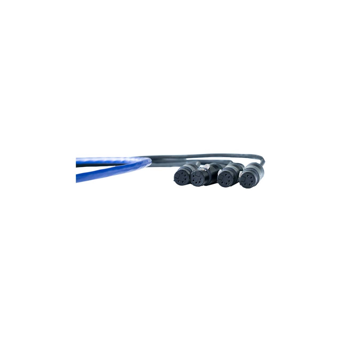 RSS-SCST-FD-E SuperCAT Sound Tails SCST-FD-E - etherCON to 3-Pin Female DMX Lighting Control Breakout Cable - 5 ft. - Black