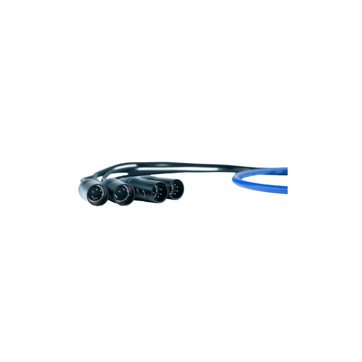 RSS-SCST-MD-E SuperCAT Sound Tails SCST-MD-E - etherCON to 3-Pin Male DMX Lighting Control Breakout Cable - 5 ft. - Black