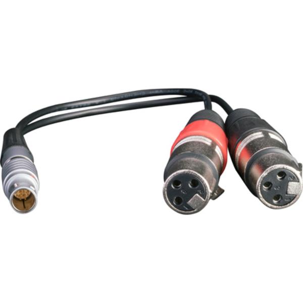 ATO-MCAB017 XLR Breakout Cable for Shogun - Input