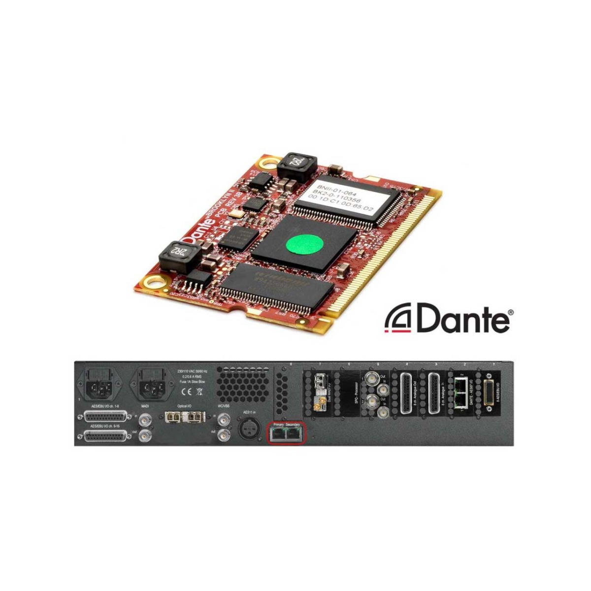 NTP-MOD-DANTE IP Audio 64 Channel Brooklyn II Module, Black