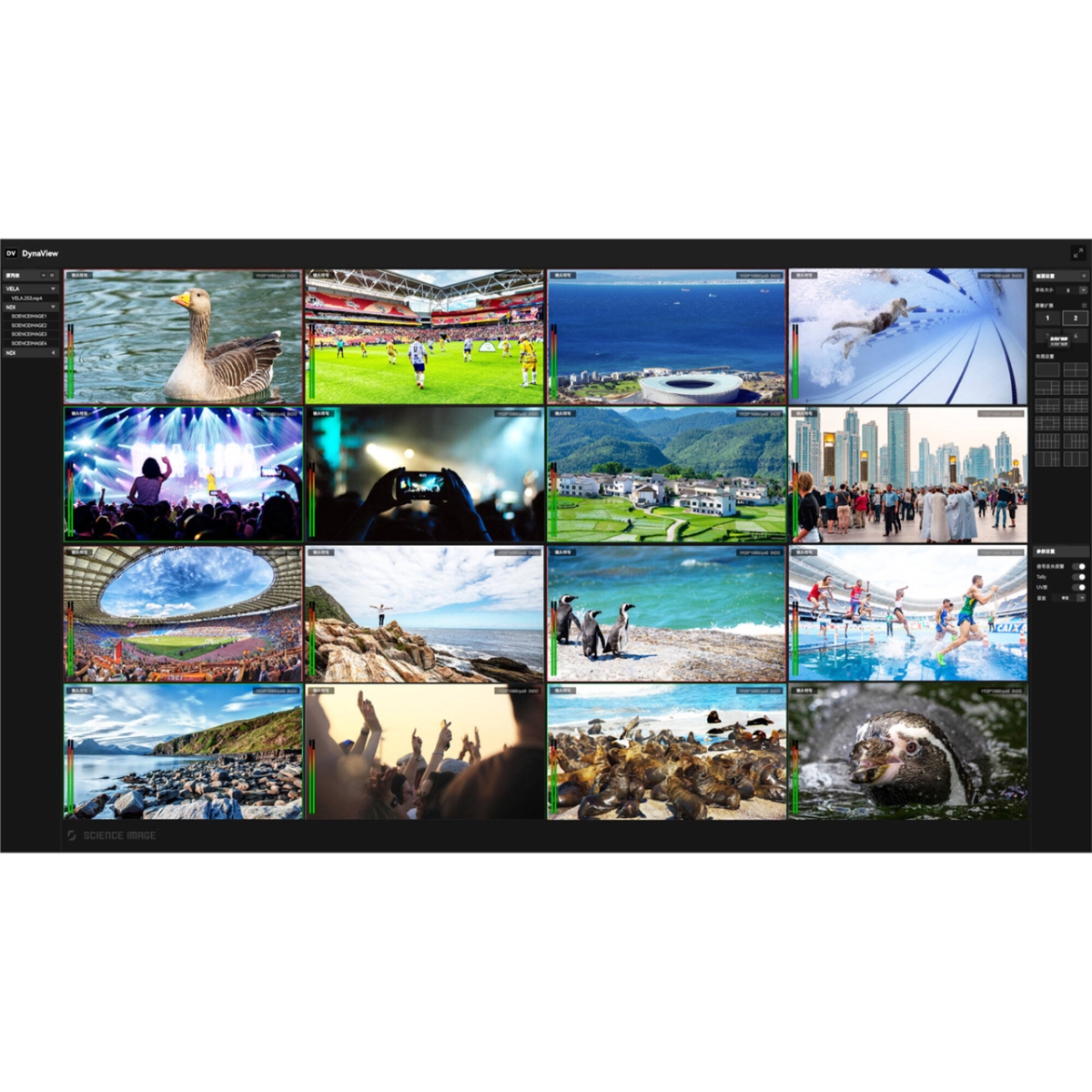 SCI-SIDYNAVPNDI Dyna View Pro NDI Software for Up to 96 NDI Sources with Audio Auto-Switching & Volume Control