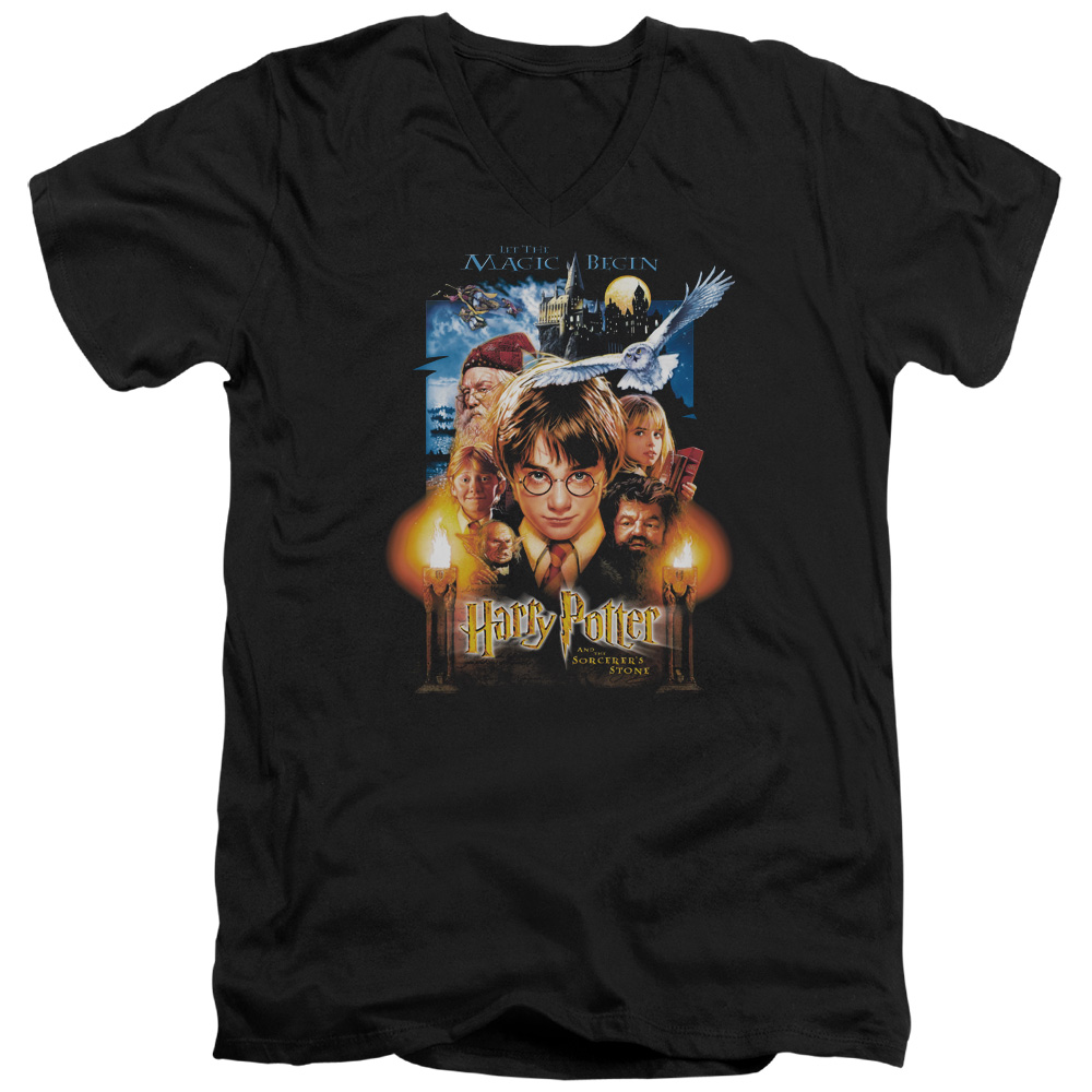 HP1003-AV-4 Harry Potter & Movie Poster Short Sleeve Adult V-Neck 30-1 T-Shirt, Black - Extra Large