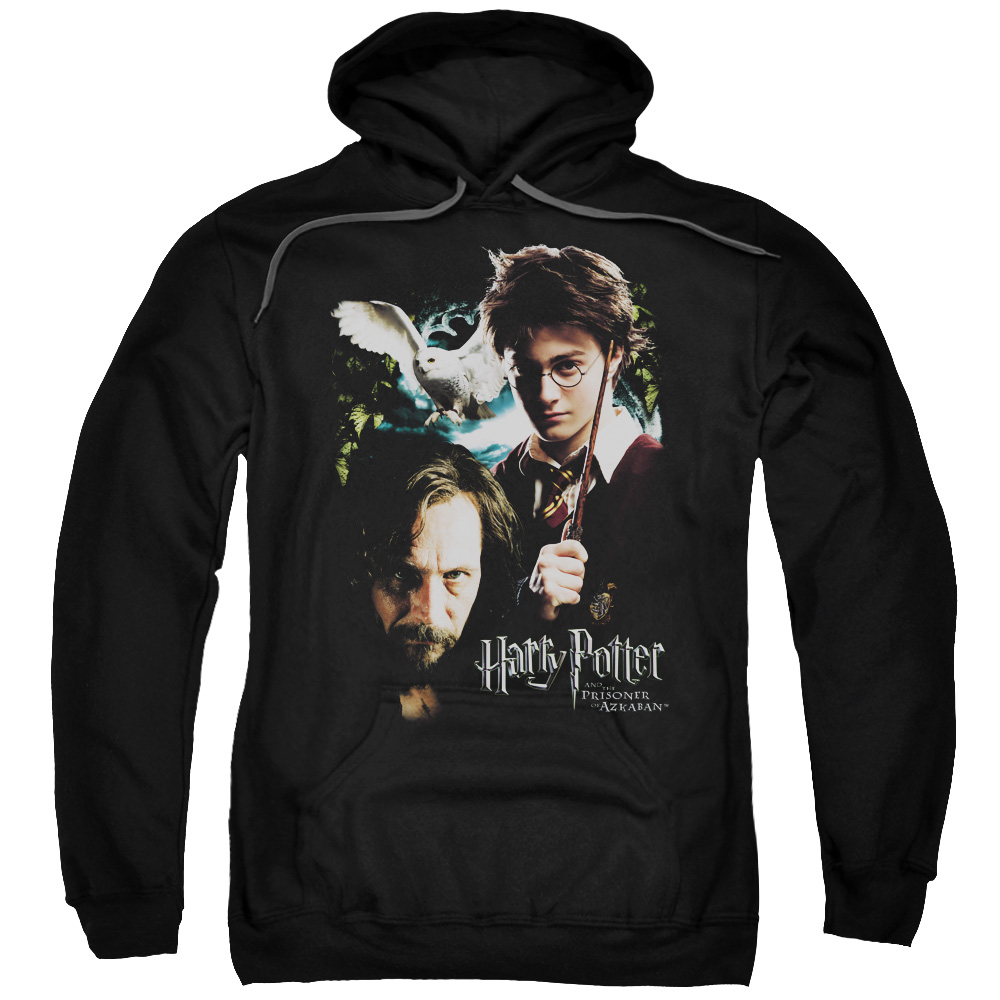 Harry Potter & Harry, Sirius-Adult Pull-Over Hoodie, Black - Small