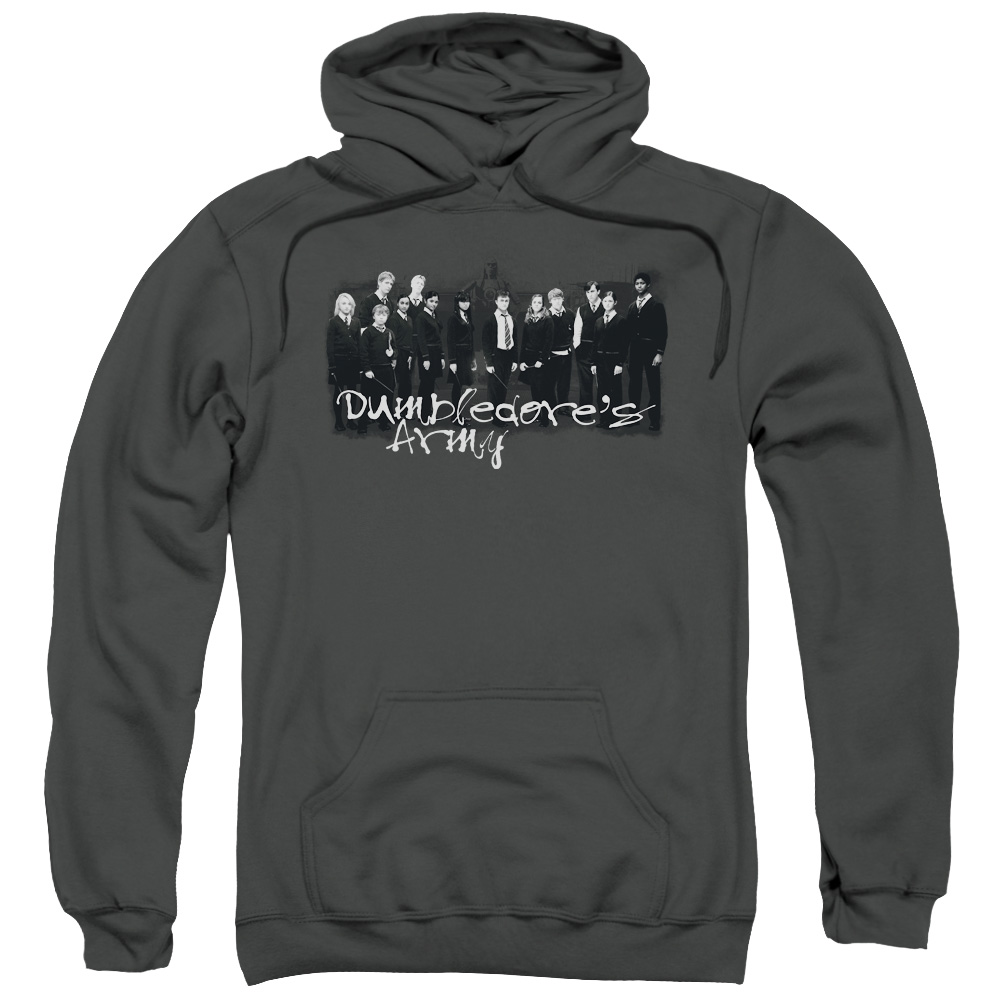 Harry Potter & The Order of Phoenix-DA Squad-Adult Pull-Over Hoodie, Charcoal - Medium