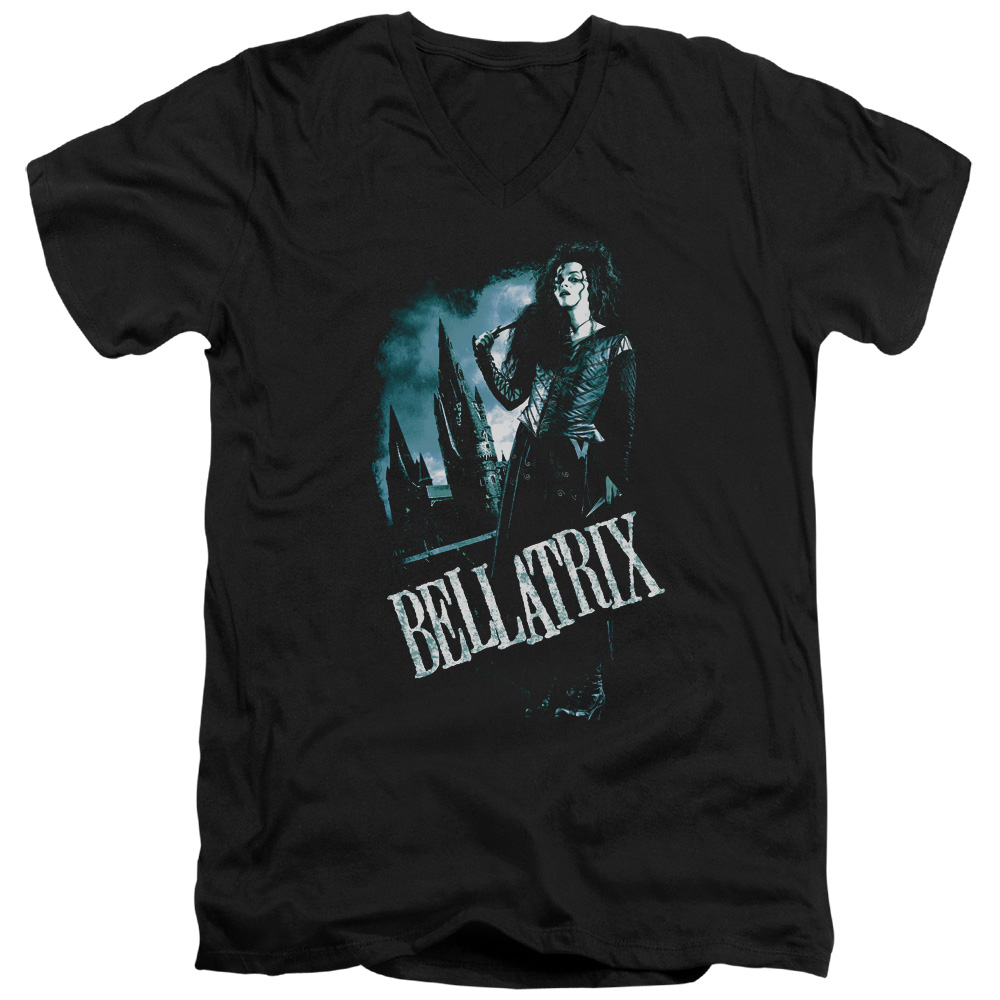 Harry Potter & Bellatrix Full Body Short Sleeve Adult V-Neck 30-1 T-Shirt, Black - Large
