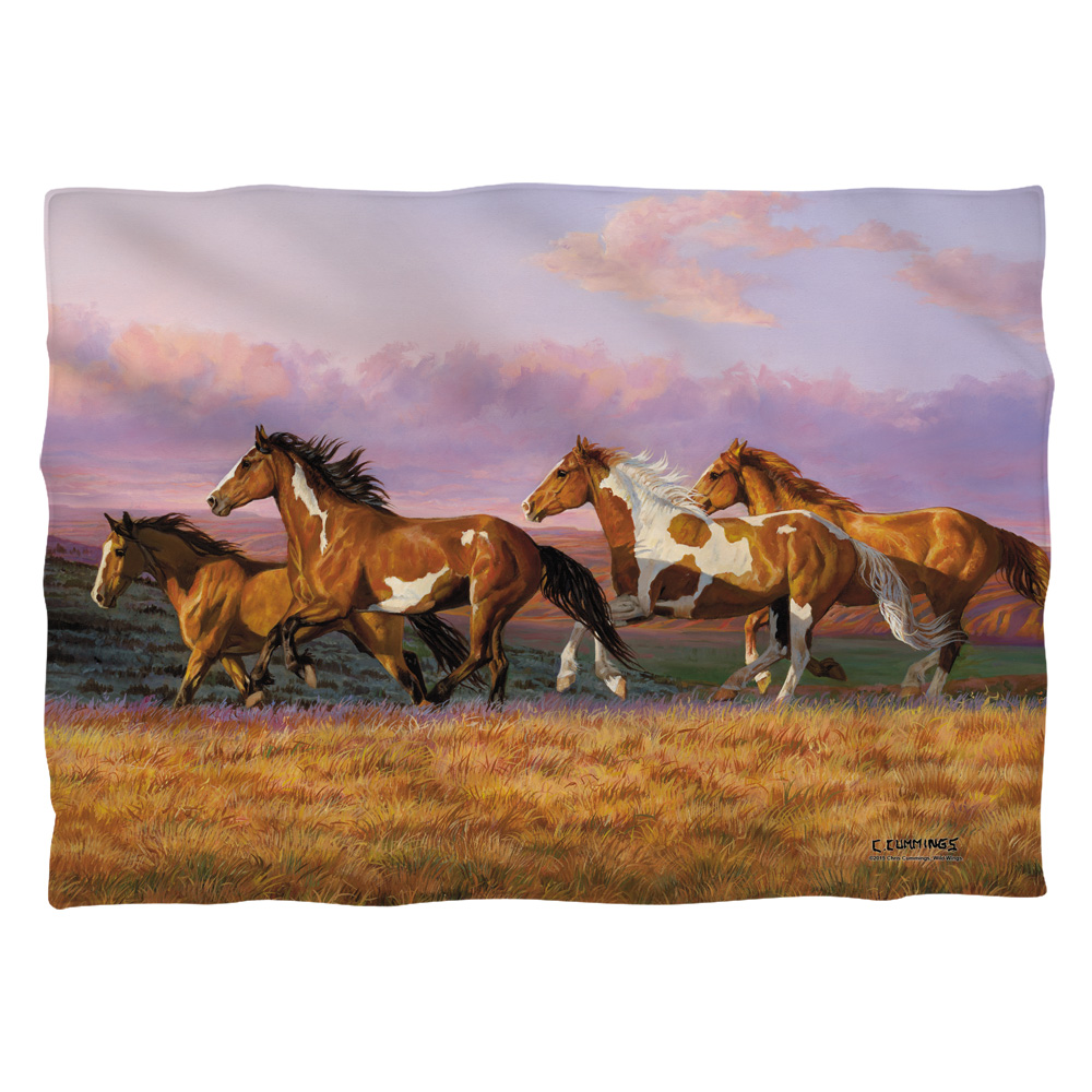 WW394-PLO1-0 20 x 28 in. Wild Wings Sunset Cruise 2 Pillow Case, White