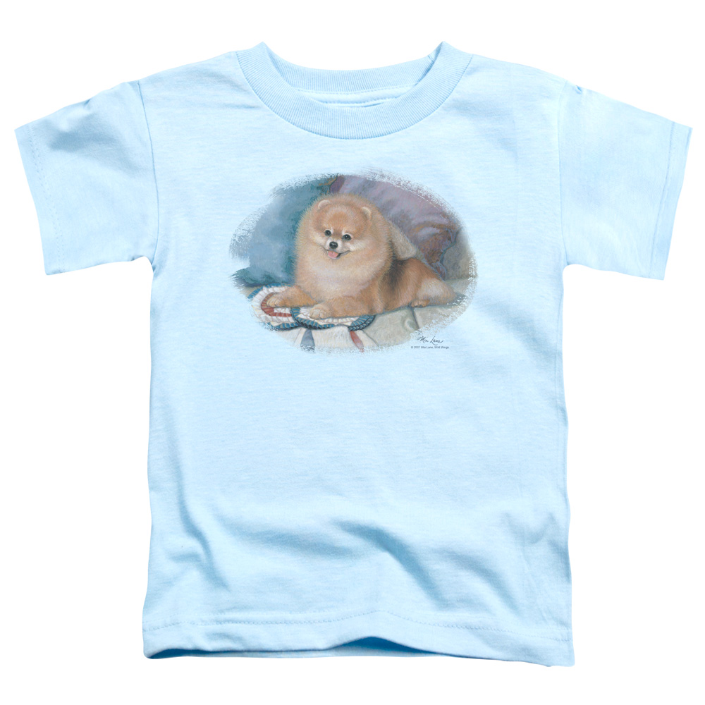 WW139-TT-2 Wildlife Pomeranian Portrait Toddler Short Sleeve T-Shirt, Light Blue - Medium 3T