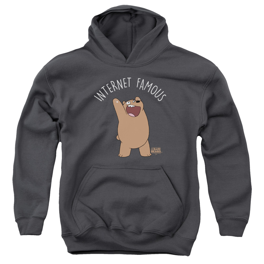 CN528-YFTH-3 We Bare Bears Internet Famous Youth Hooded Sweatshirt, Charcoal - Large