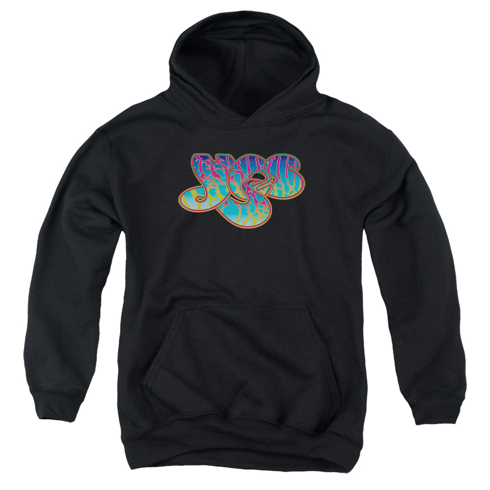YES102-YFTH-2 Yes Logo Youth Hooded Sweatshirt, Black - Medium