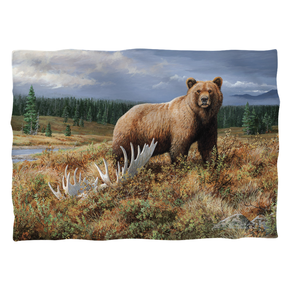 WW375-PLO1-0 20 x 28 in. Wild Wings Autumn Splendor 2 Pillow Case, White