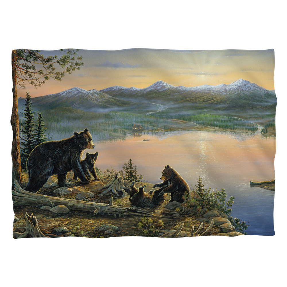 WW377FB-PLO1-0 20 x 28 in. Wild Wings Serenity At Twilight 2 Front & Back Print Pillow Case, White
