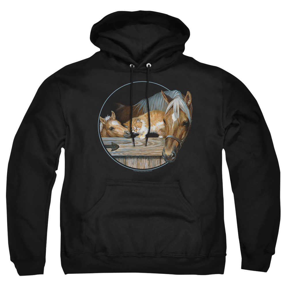 WW436-AFTH-2 Wild Wings Everyone Loves Kitty Adult Pullover Hoodie, Black - Medium
