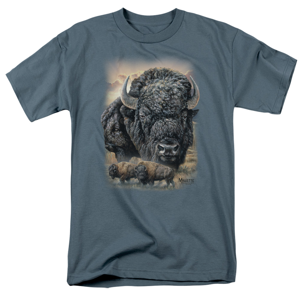 WW425-AT-5 Wild Wings Sunset Buffalo Adult Regular Fit Short Sleeve T-Shirt, Slate - 2X -  Trevco Sportswear