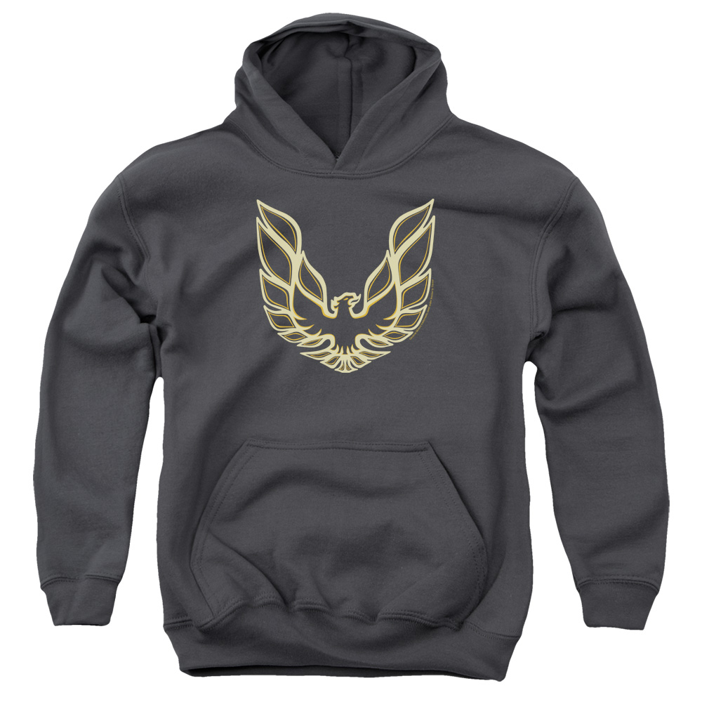 PTC100-YFTH-2 Pontiac Iconic Firebird Youth Hooded Sweatshirt, Charcoal - Medium
