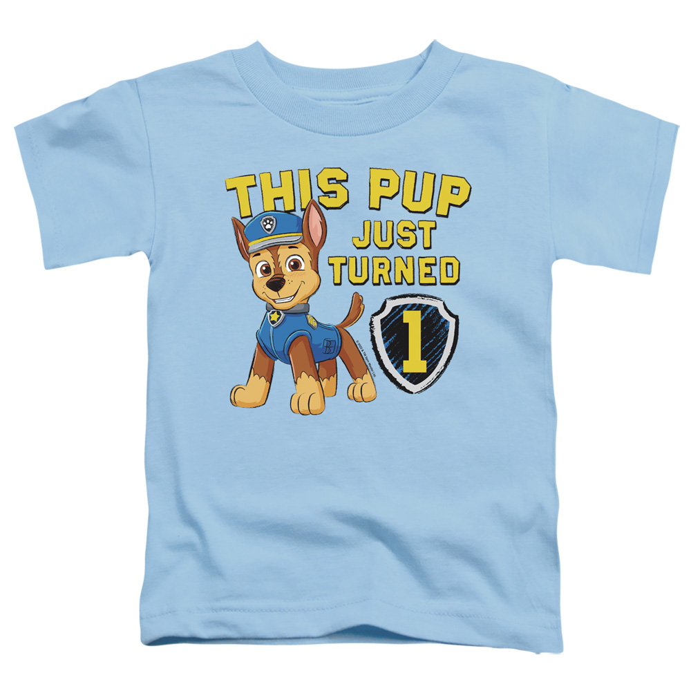 NICK958-TT-2 Paw Patrol This Pups Birthday Toddler Short Sleeve T-Shirt, Light Blue - Medium 3T